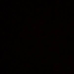 Meet your Posher, Regan